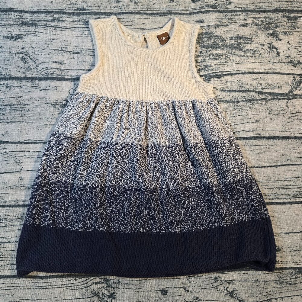Tea Collection Sweater Dress 3T